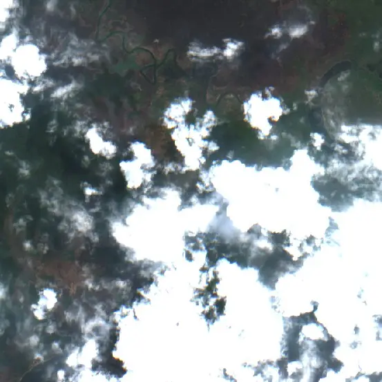 After —  (Sentinel-2, 2026-09-08)