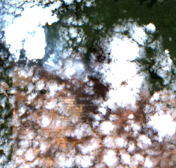 After — Merauke (Sentinel-2, 2026-09-13)