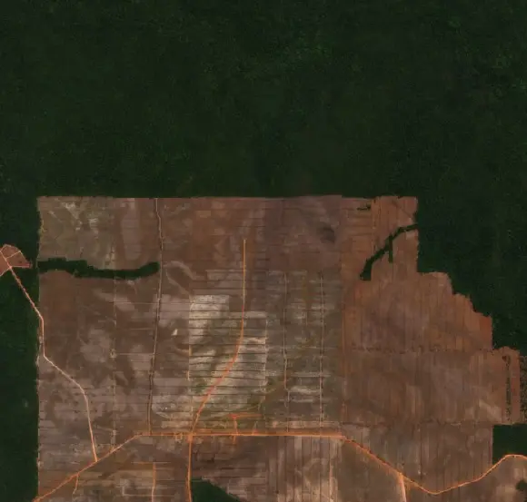 Before — Merauke (Sentinel-2, 2026-08-24)