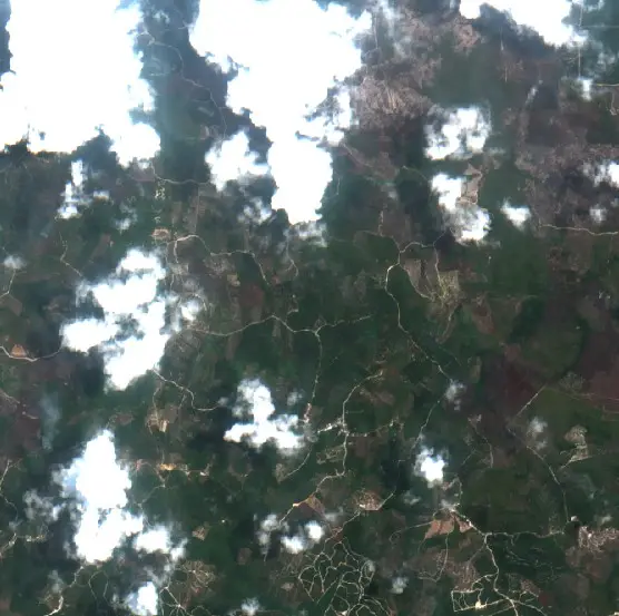 After —  (Sentinel-2, 2026-09-08)