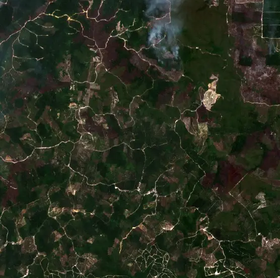 Before —  (Sentinel-2, 2026-08-29)