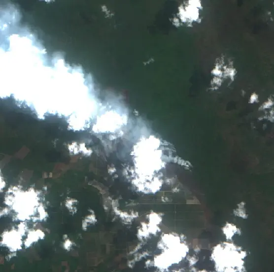 After — Pedamaran Timur (Sentinel-2, 2026-09-08)