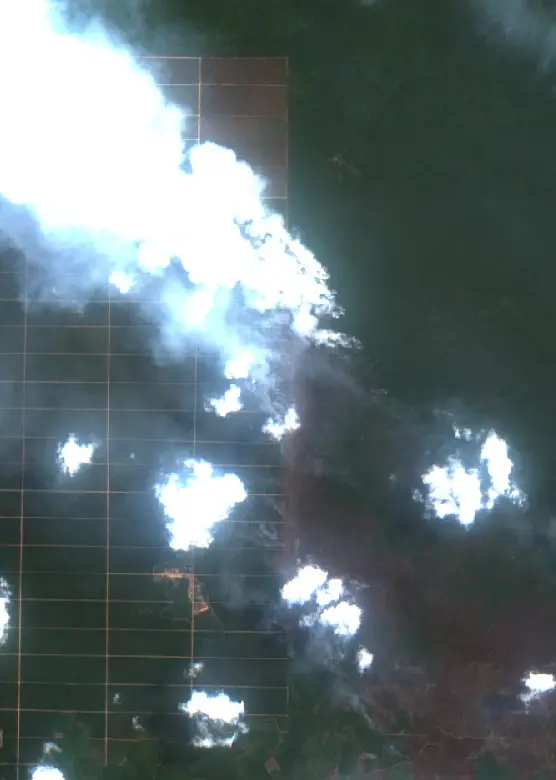 Before — Sungai Rotan (Sentinel-2, 2026-09-08)