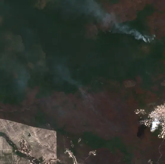 Before —  (Sentinel-2, 2026-09-02)