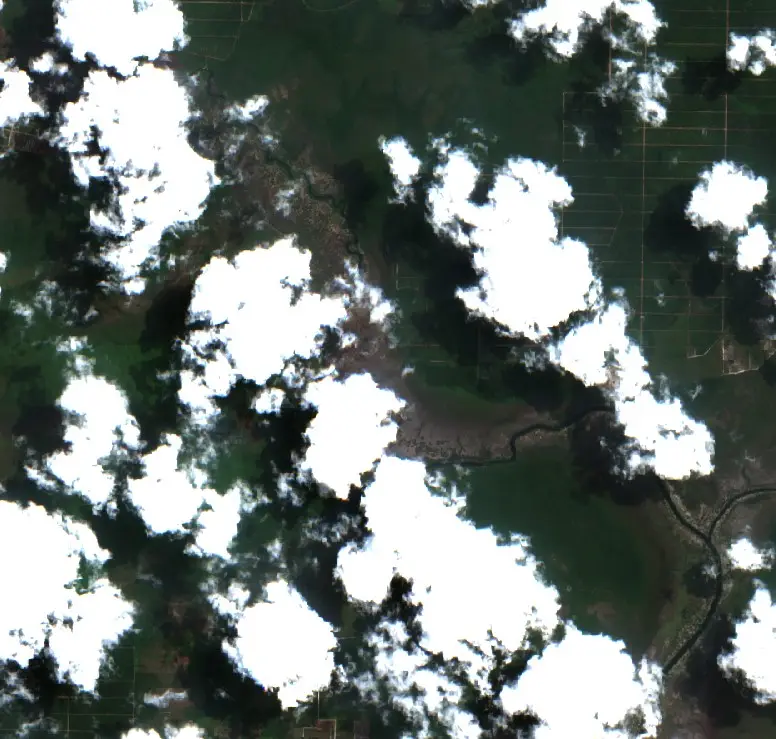 Before — Seruyan (Sentinel-2, 2026-08-20)