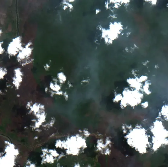 After — Seruyan (Sentinel-2, 2026-09-14)