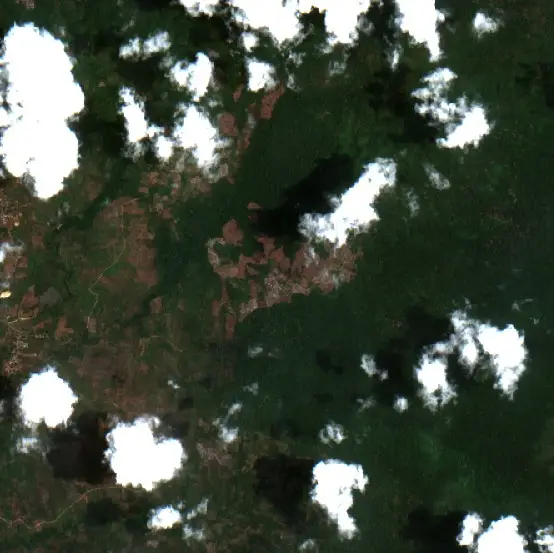 After — Batauga (Sentinel-2, 2026-10-07)
