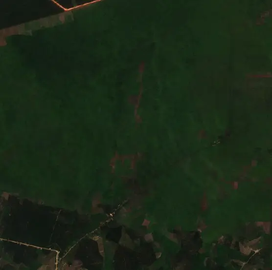 Before —  (Sentinel-2, 2026-09-03)