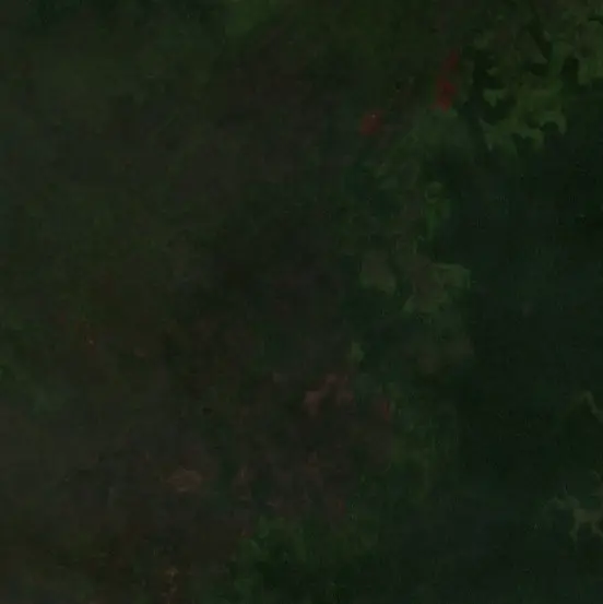 Before —  (Sentinel-2, 2026-09-11)