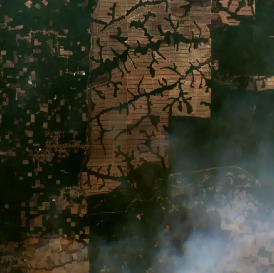 After — Way Kanan (Sentinel-2, 2026-10-20)
