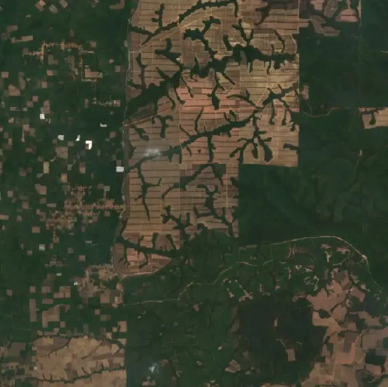Before — Way Kanan (Sentinel-2, 2026-09-08)