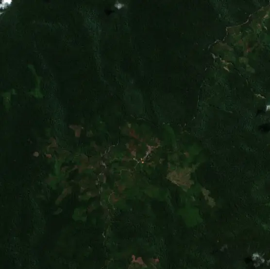 Before — Sigi (Sentinel-2, 2026-08-31)