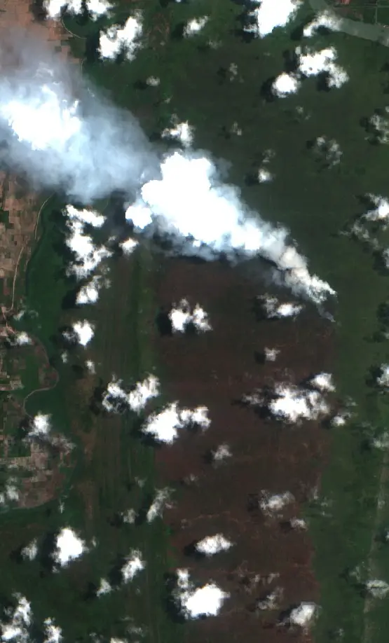 Before — Lampung Timur (Sentinel-2, 2026-09-30)