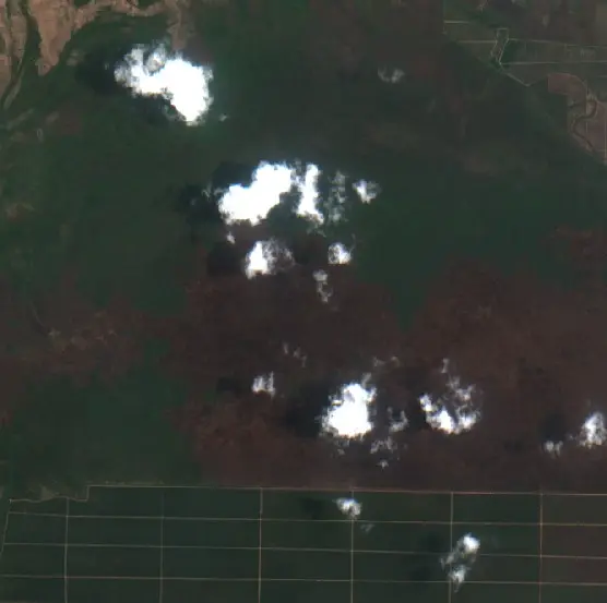 Before — Sungai Rotan (Sentinel-2, 2026-09-30)