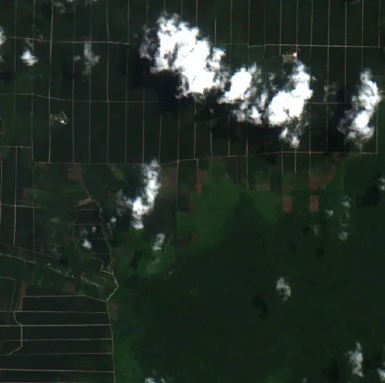 Before —  (Sentinel-2, 2026-08-25)