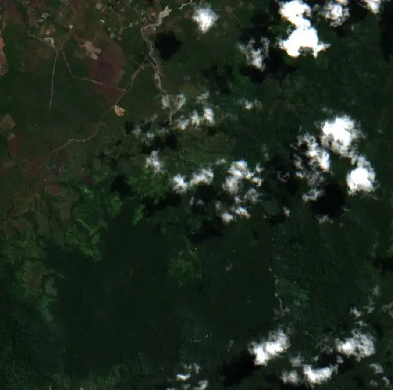 Before — Halmahera Timur (Sentinel-2, 2026-08-07)