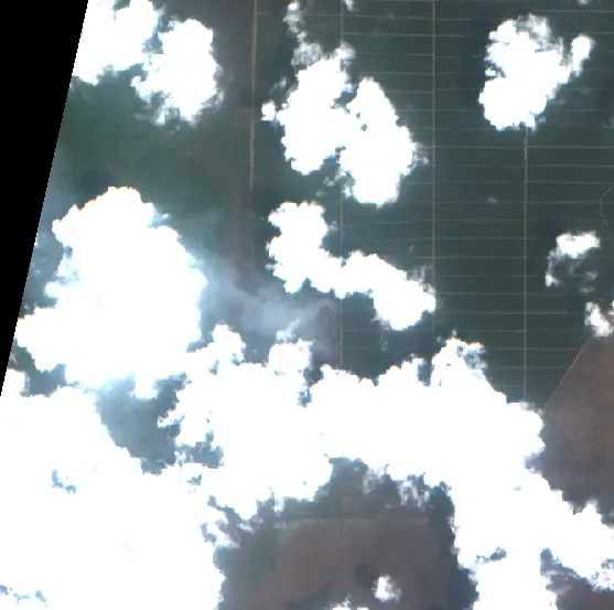 After — Kutai Timur (Sentinel-2, 2026-10-15)
