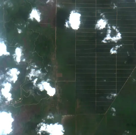 Before — Kutai Timur (Sentinel-2, 2026-09-21)