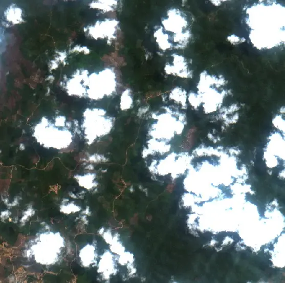 Before — Kutai Kartanegara (Sentinel-2, 2026-08-29)