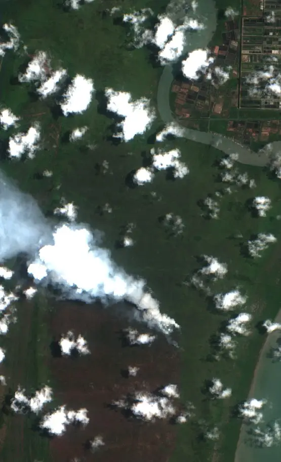 Before — Lampung Timur (Sentinel-2, 2026-09-30)