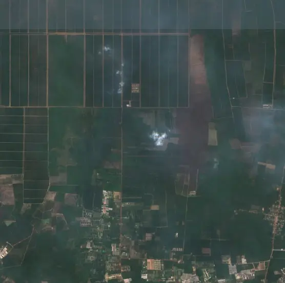 Before —  (Sentinel-2, 2026-09-08)