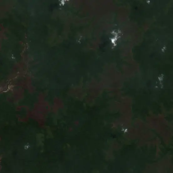 Before — Mappi (Sentinel-2, 2026-09-06)