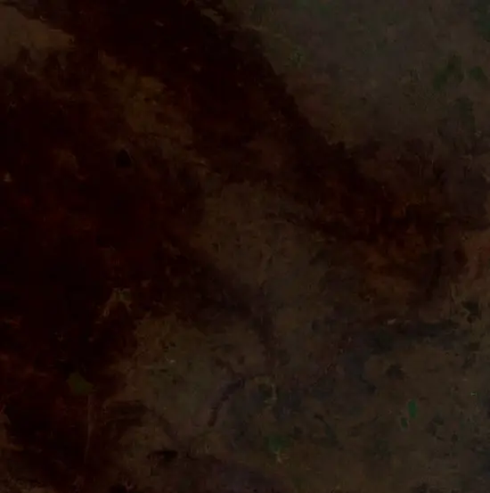 Before — Merauke (Sentinel-2, 2026-09-08)