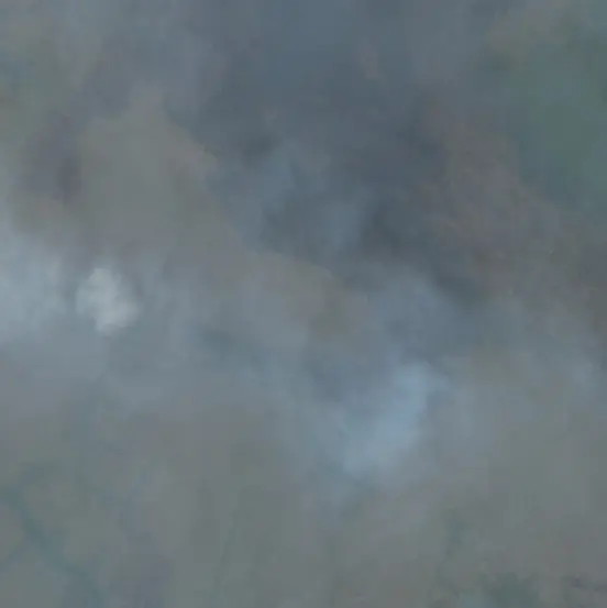 After — Merauke (Sentinel-2, 2026-10-11)