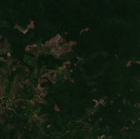 Before —  (Sentinel-2, 2026-08-08)