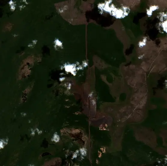 Before — Kotawaringin Timur (Sentinel-2, 2026-08-20)