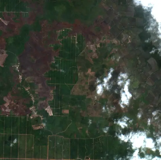 After — Kotabaru (Sentinel-2, 2026-10-18)