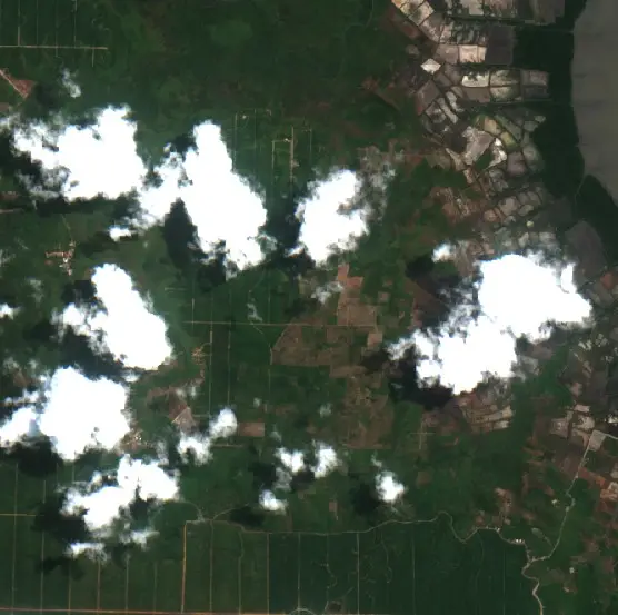 Before — Kotabaru (Sentinel-2, 2026-09-13)