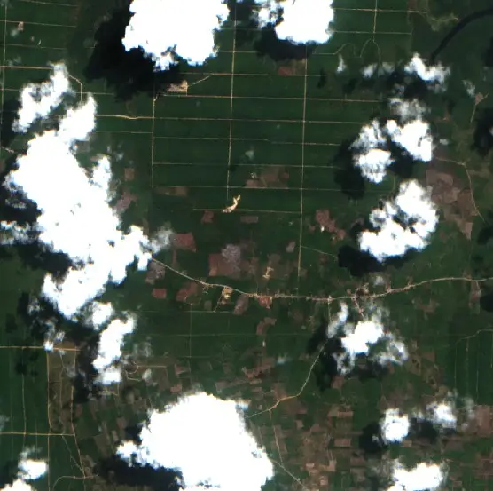 After — Paser (Sentinel-2, 2026-09-08)