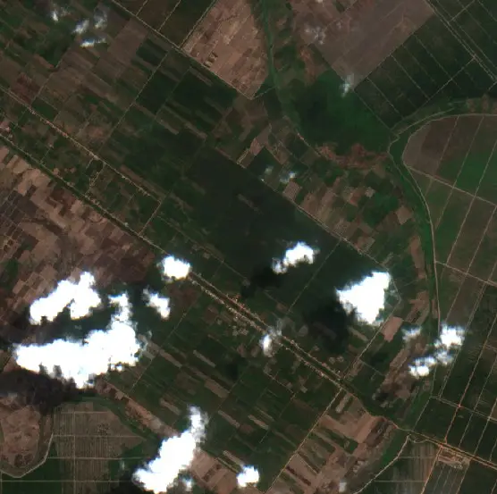Before — Pulau Rimau (Sentinel-2, 2026-08-21)