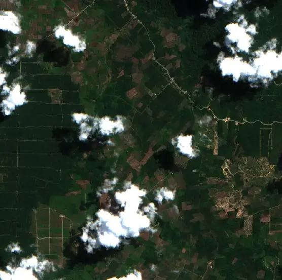 Before —  (Sentinel-2, 2026-08-04)