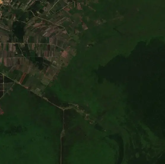 Before — Berbak (Sentinel-2, 2026-09-03)