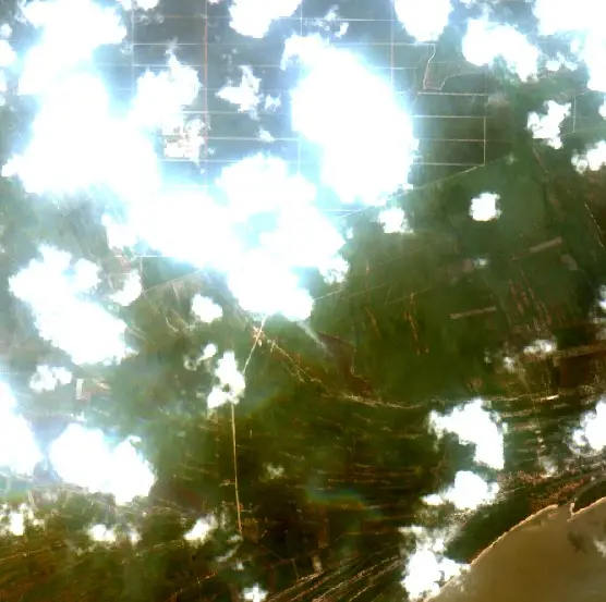After — Kuala Pembuang (Sentinel-2, 2026-10-09)