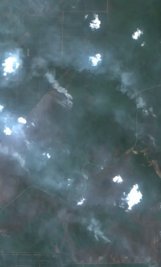 After — Kotawaringin Timur (Sentinel-2, 2026-09-11)