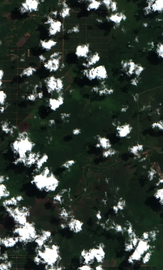 Before — Kotawaringin Timur (Sentinel-2, 2026-08-05)
