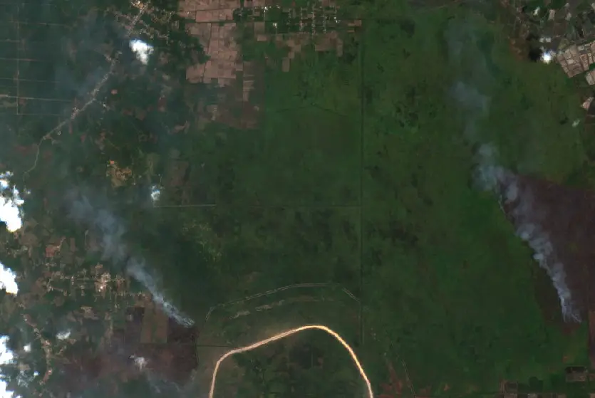 After — Kotabaru (Sentinel-2, 2026-10-08)