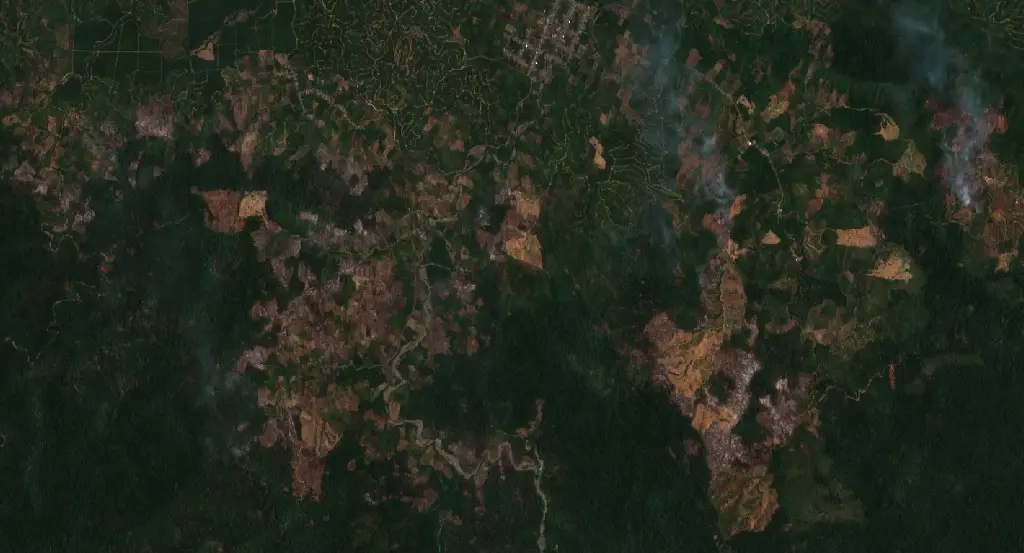 After — Buol (Sentinel-2, 2026-09-15)