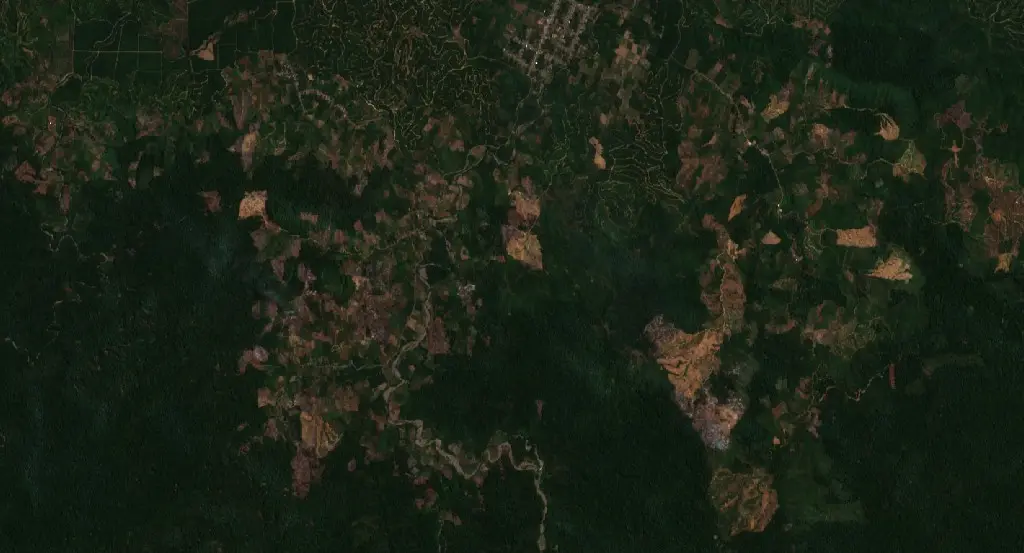 Before — Buol (Sentinel-2, 2026-08-26)