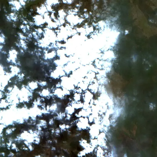 After —  (Sentinel-2, 2026-09-08)