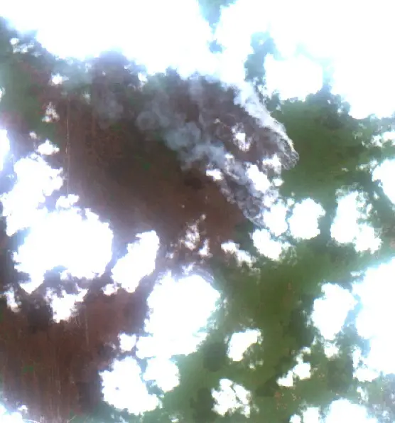 After — Kotawaringin Barat (Sentinel-2, 2026-09-09)