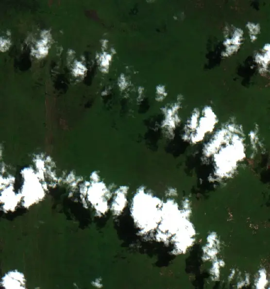 Before — Kotawaringin Barat (Sentinel-2, 2026-08-25)