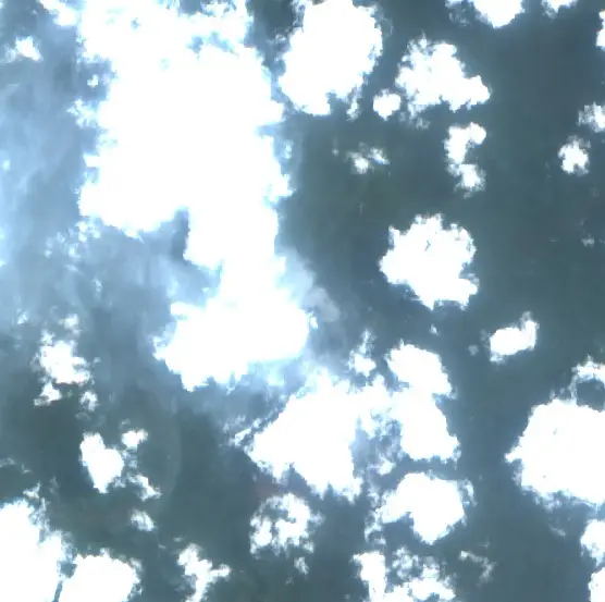 After — Teluk Bintuni (Sentinel-2, 2026-09-15)