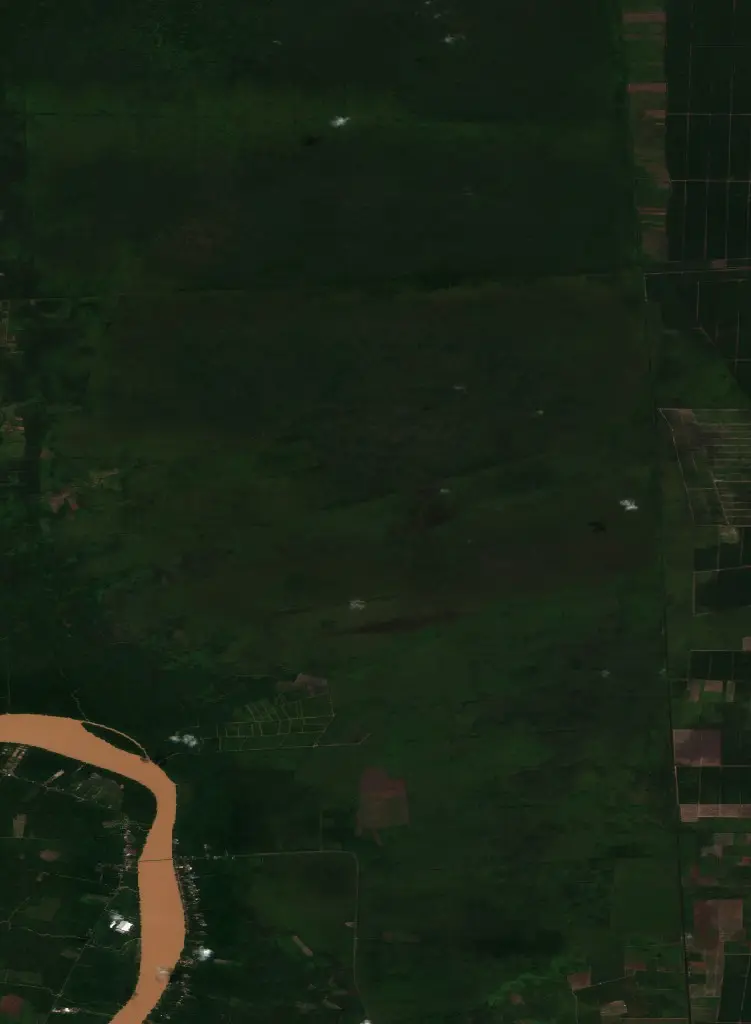 Before —  (Sentinel-2, 2026-08-12)