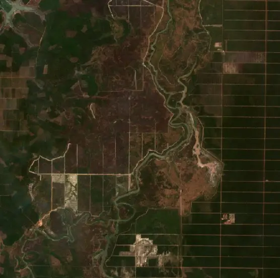 After — Pedamaran (Sentinel-2, 2026-10-08)