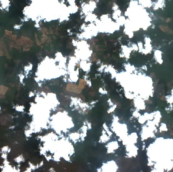 After — Bangka Selatan (Sentinel-2, 2026-10-08)