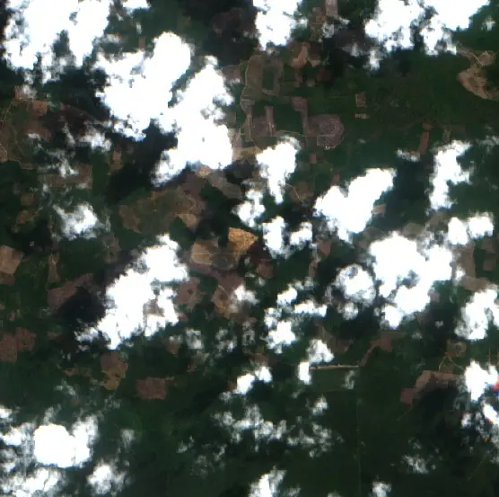 Before — Bangka Selatan (Sentinel-2, 2026-08-24)
